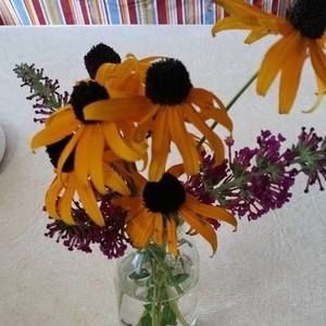 Meet your Posher, Robin